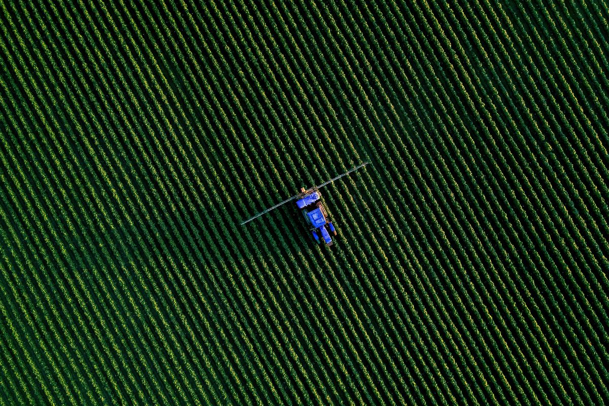 Especialistas explicam por que o agronegócio pode colocar o Brasil na corrida global da IA