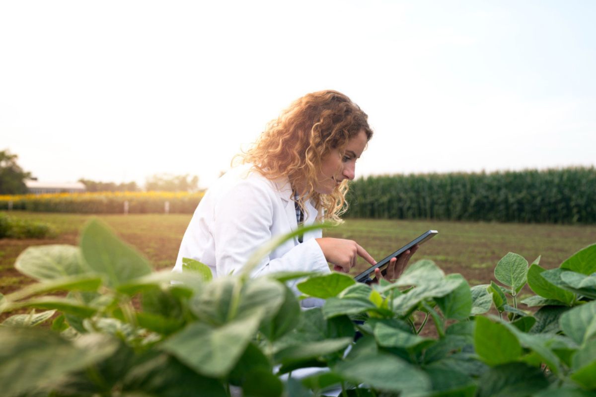 Setor agro ajuda a manter saldo positivo da produtividade do trabalho no Brasil