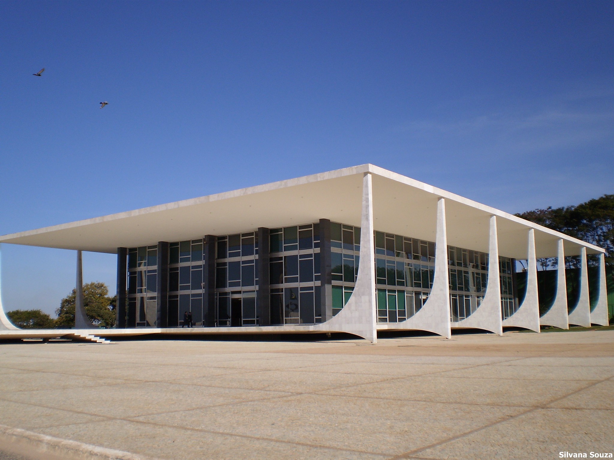 Briefing: Corrida eleitoral e decisões no STF dominam o debate