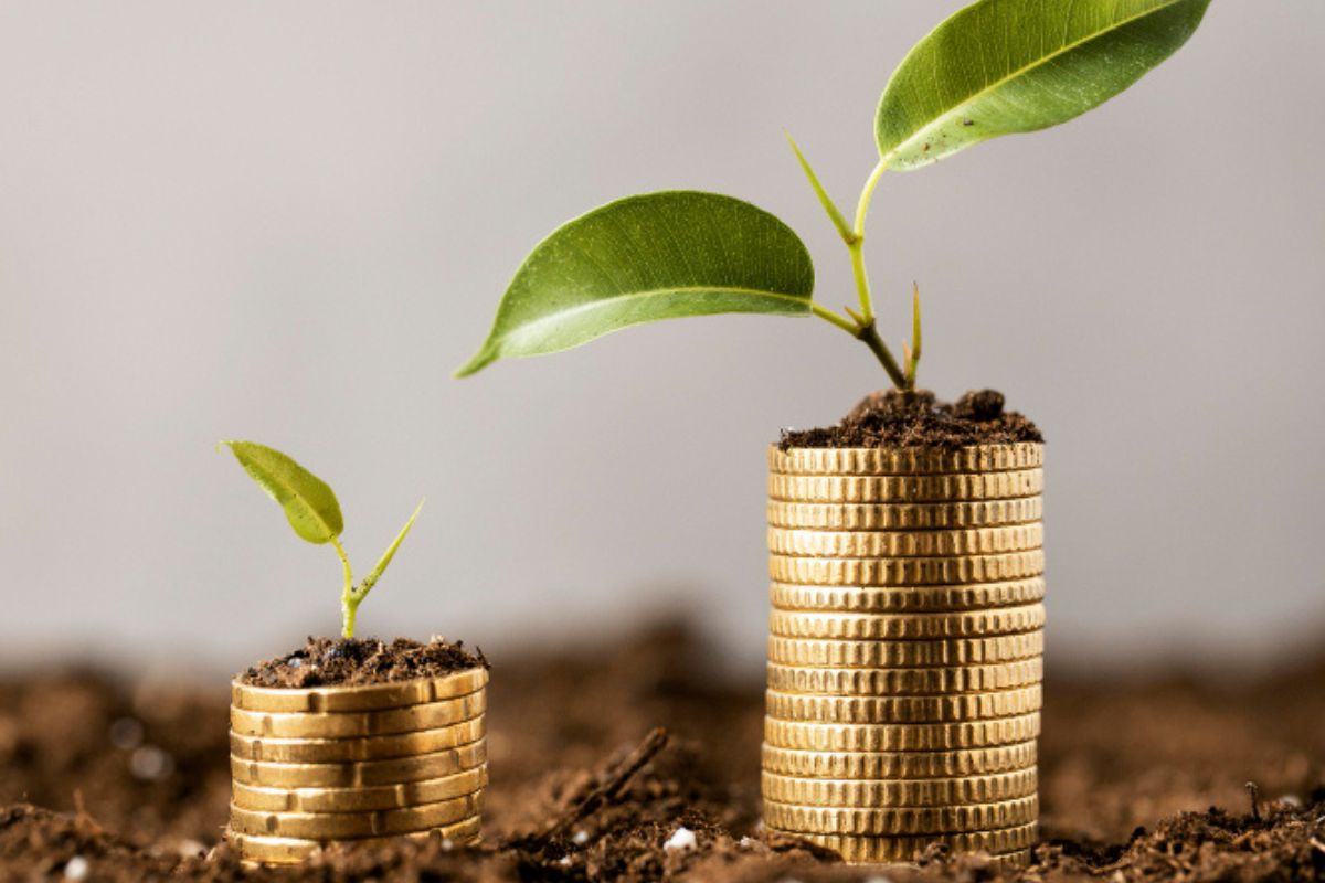 Juros futuros caem sem indicadores econômicos relevantes
