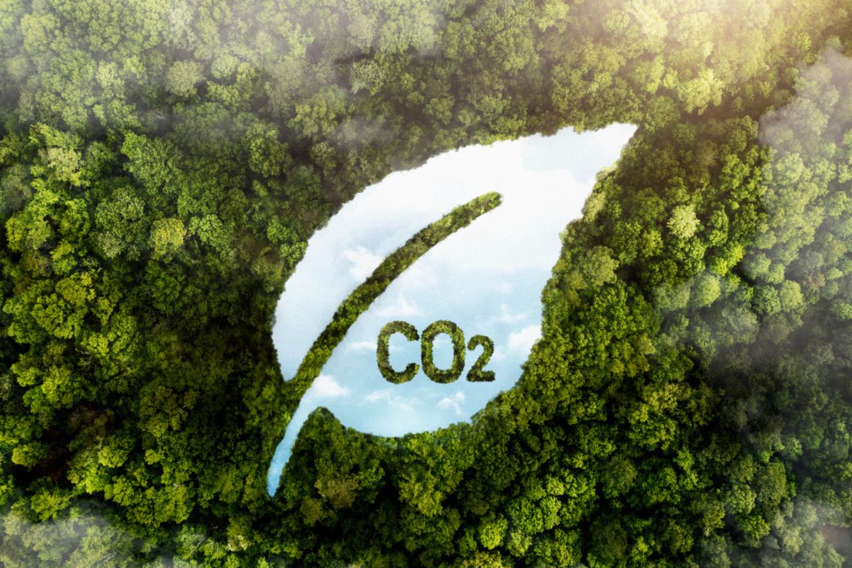 Governo inicia desenvolvimento do sistema capaz de inserir o Brasil no mercado regulado de carbono