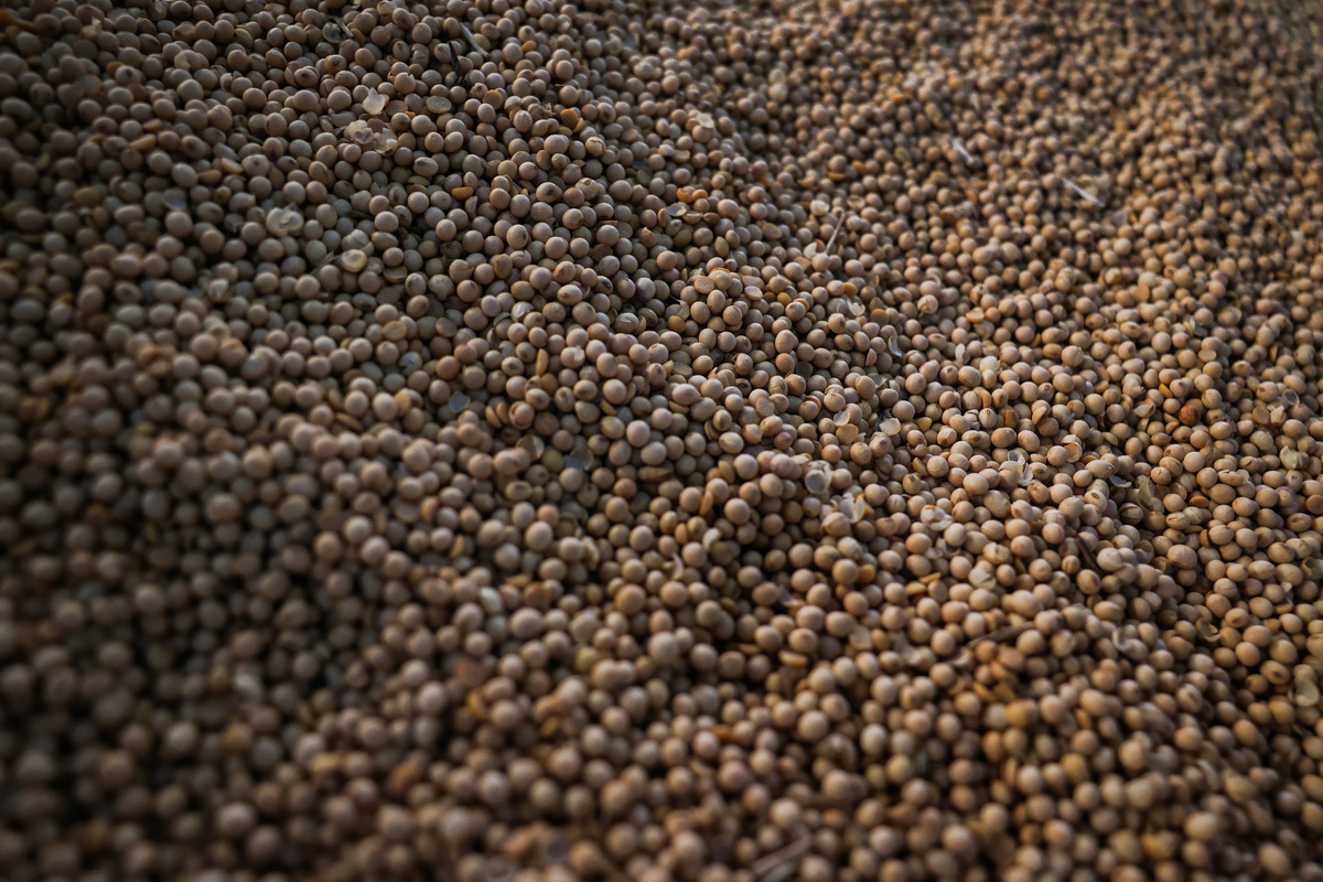 Agroindústria acelera e lidera crescimento do agronegócio em São Paulo