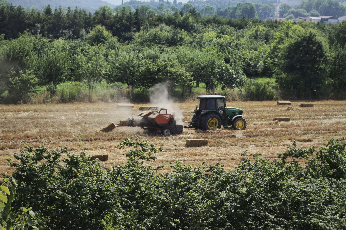 Produtividade no Brasil tem avanço “tímido” entre 2019 e 2025