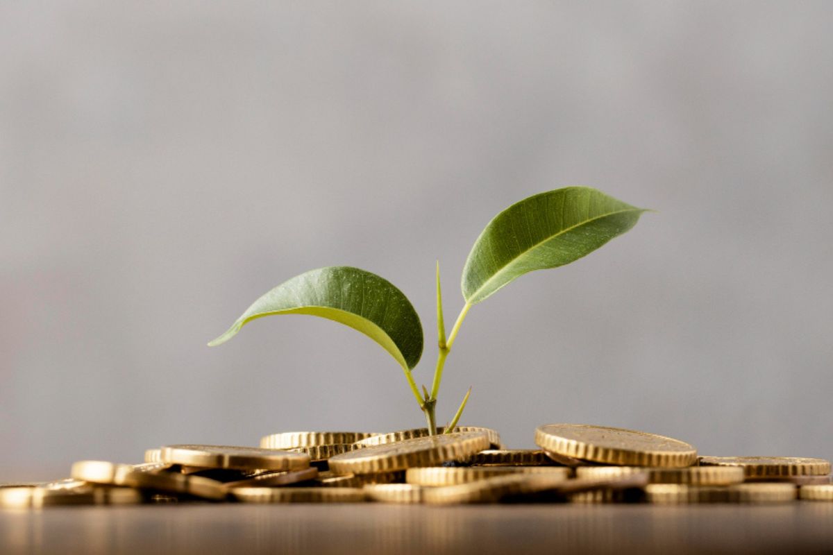 Selic a 15% ao ano: onde investir agora?