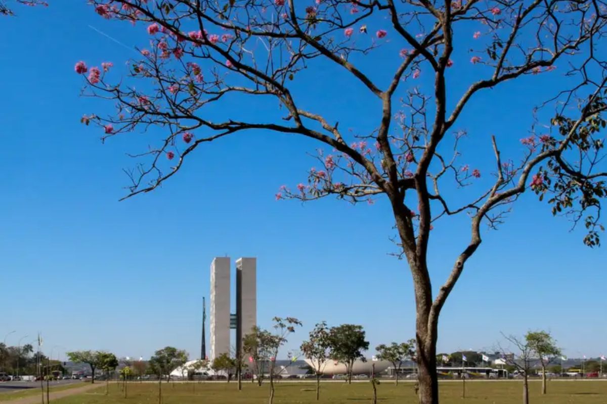 Quais as pautas do Congresso em 2026?