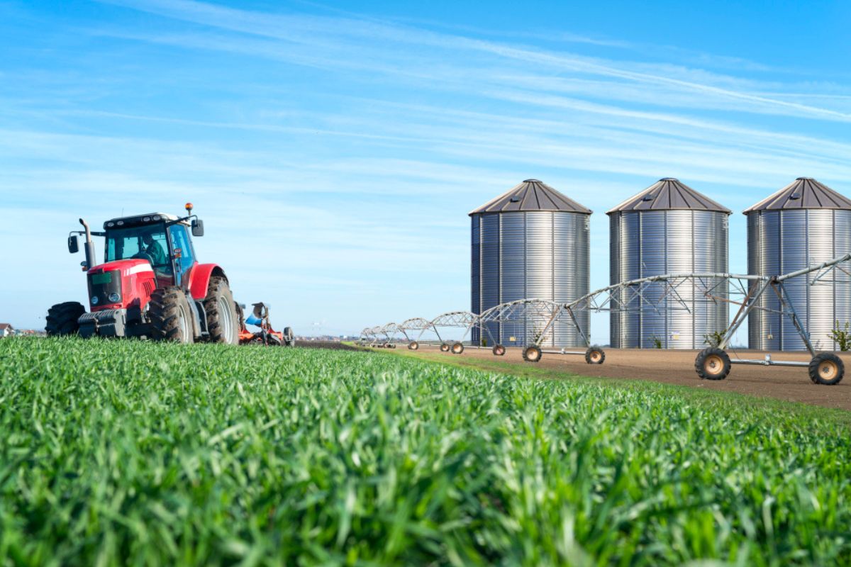 Empresas de agro aumentaram 60% em 10 anos, com destaque para as de pequeno porte