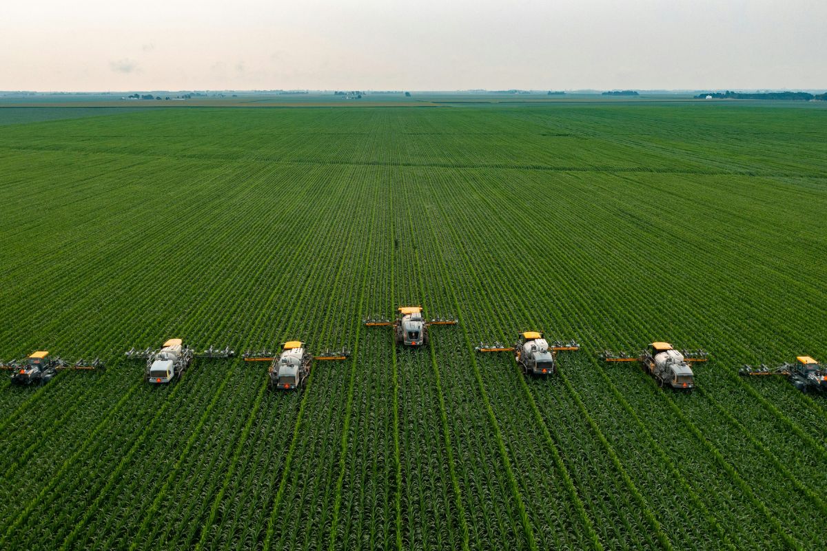 Como a China influencia o agronegócio brasileiro?