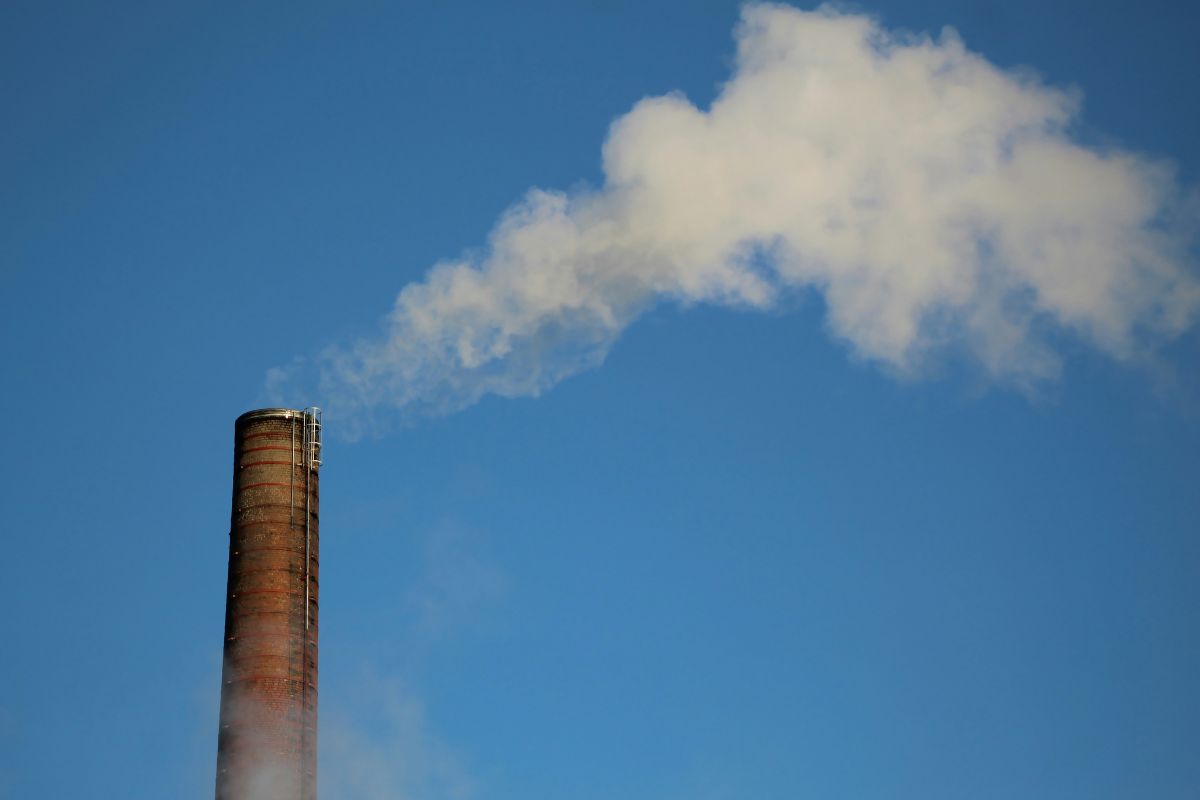 Exportadores enfrentam novas exigências climáticas; veja como preparar sua empresa