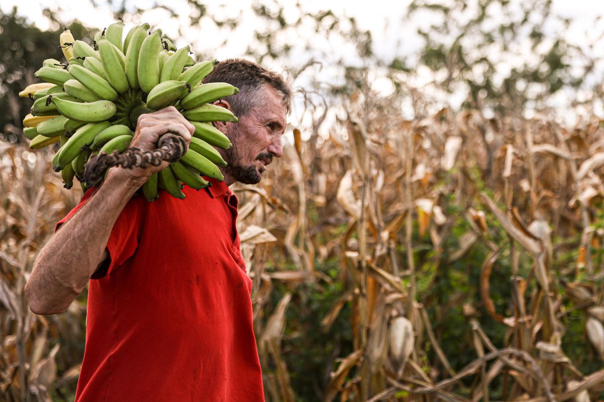 Comissão aprova novas regras para crédito rural e proposta avança na Câmara