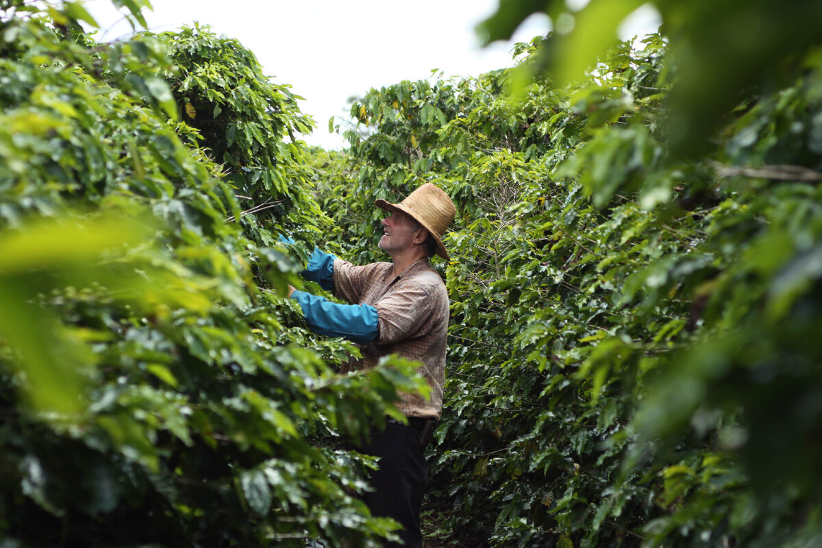 Câmara avança em projeto que equipara agricultores de subsistência a extrativistas