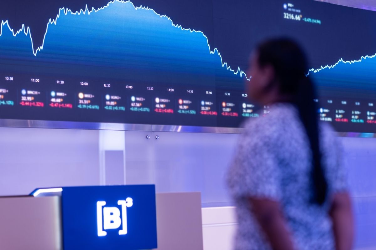 Como o Ibovespa influencia todo o mercado acionário brasileiro?