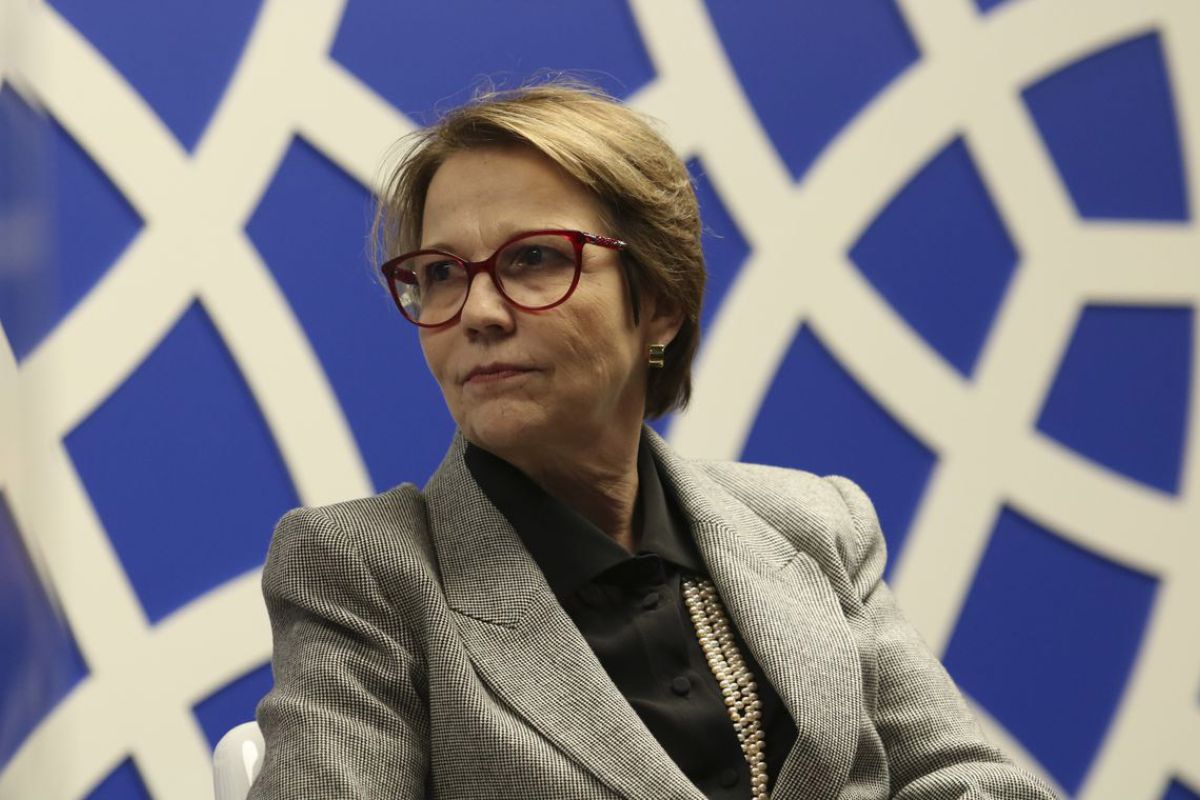 Tereza Cristina é cotada para presidir MP do Frete. Entenda: