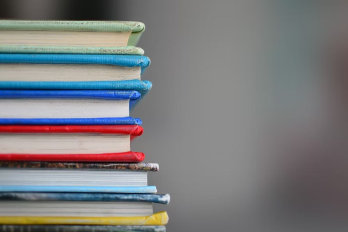 Veja como funciona o “SUS da Educação” sancionado por Lula