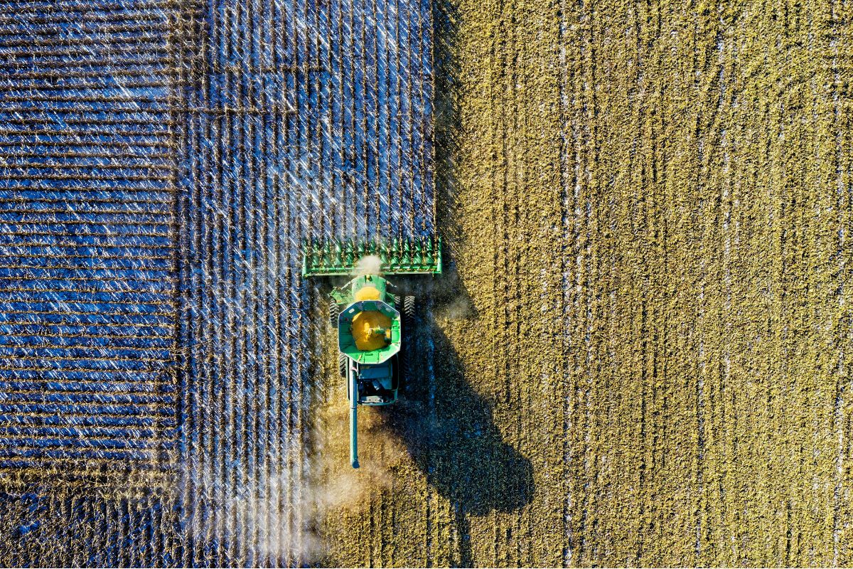 Lei que substitui termo “agrotóxico” por “defensivo agrícola” é aprovada em Comissão da Câmara