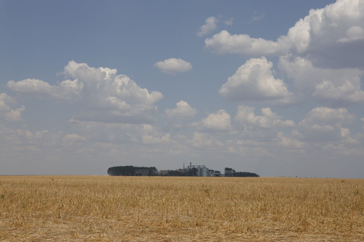 Proposta exige cumprimento simultâneo de regras ambientais e trabalhistas (Foto: Fernando Frazão/Agência Brasil)