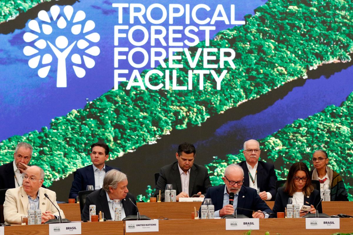 Fundo Florestas Tropicais: Brasil recebe primeiras contribuições