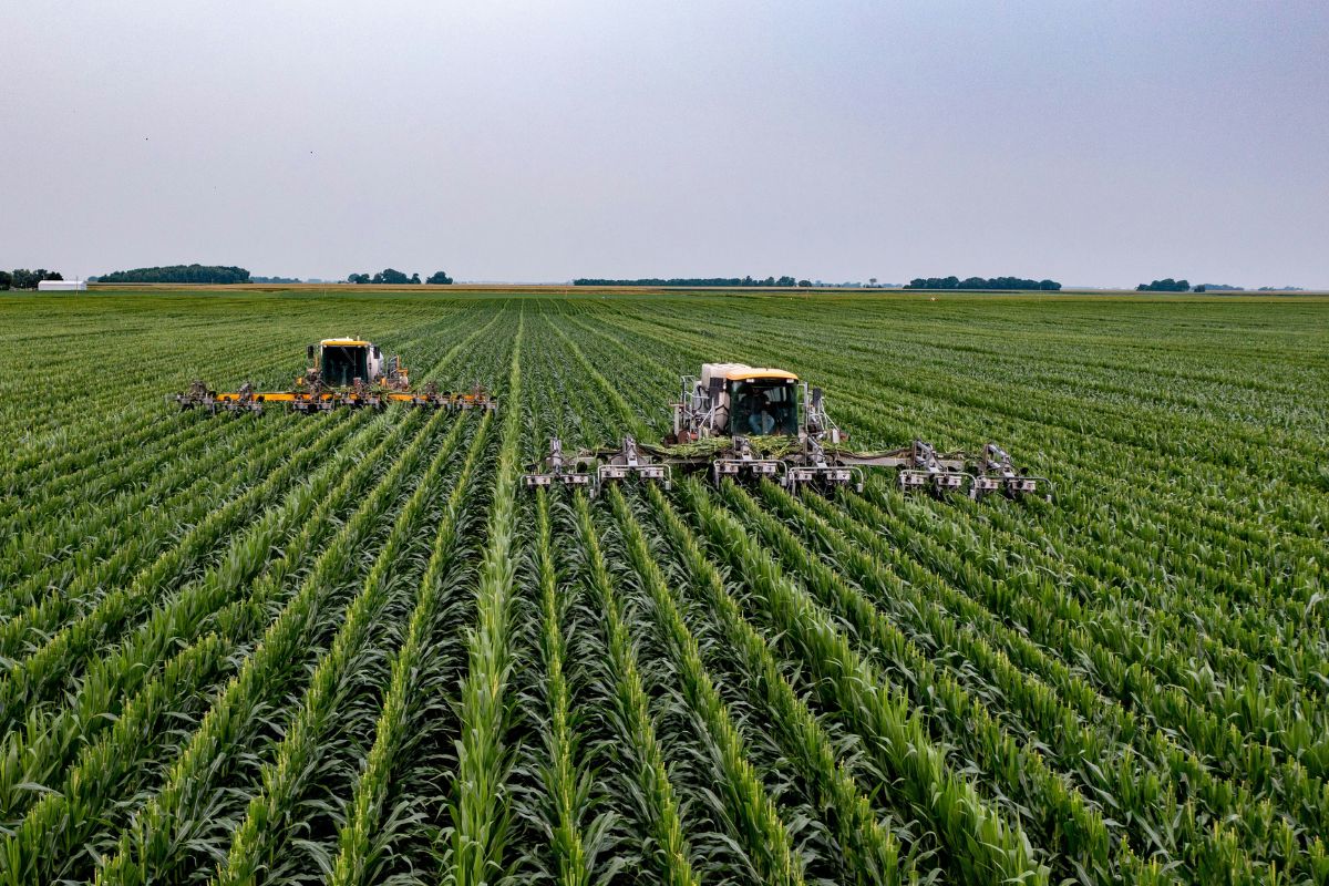 Agroindústria acelera e lidera crescimento do agronegócio em São Paulo