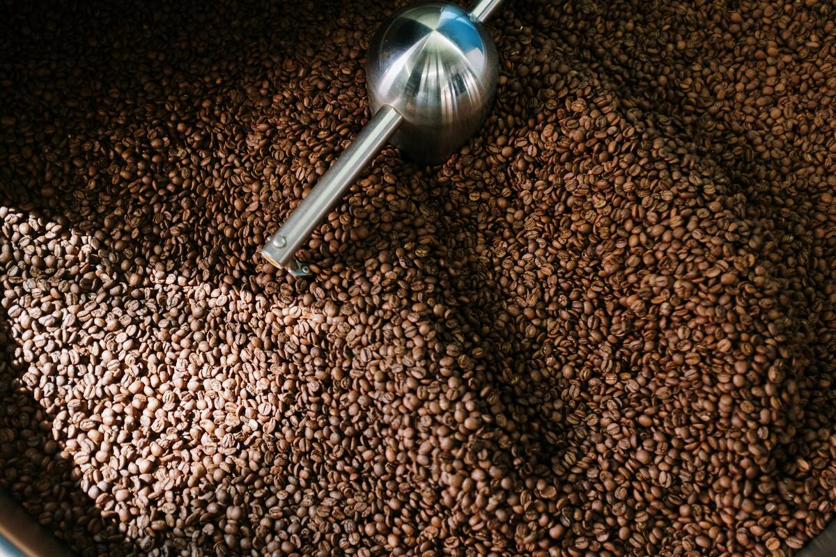 Safra de café pode bater recorde de produção em 2026