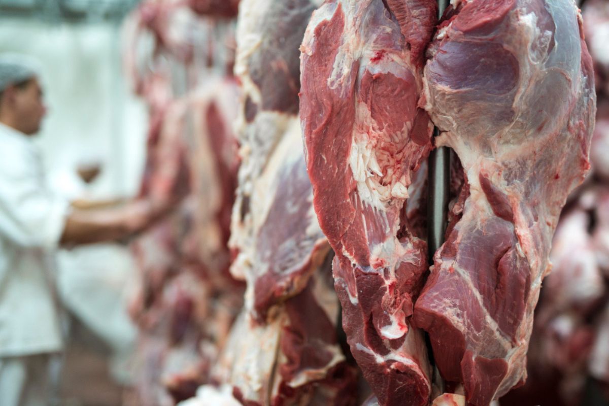 UE retira Brasil da lista de exportadores de produtos de origem animal; entenda