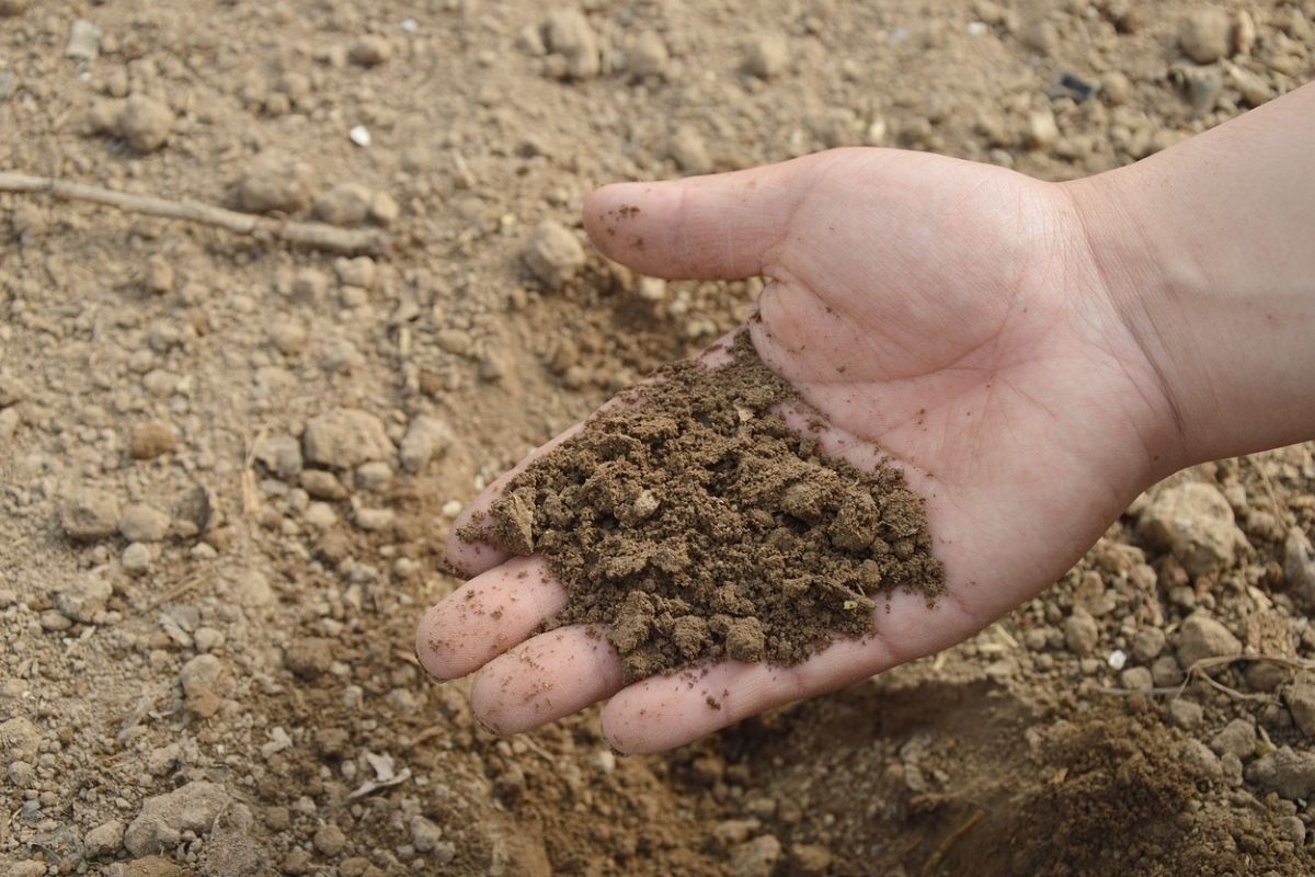 Brasil importa volume recorde de fertilizantes em 2025