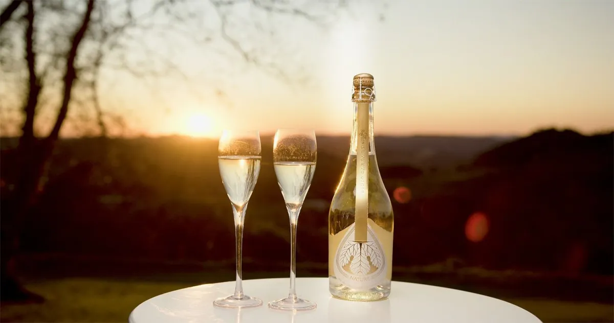STJ autoriza uso do nome Champagne em marca de roupas brasileira
