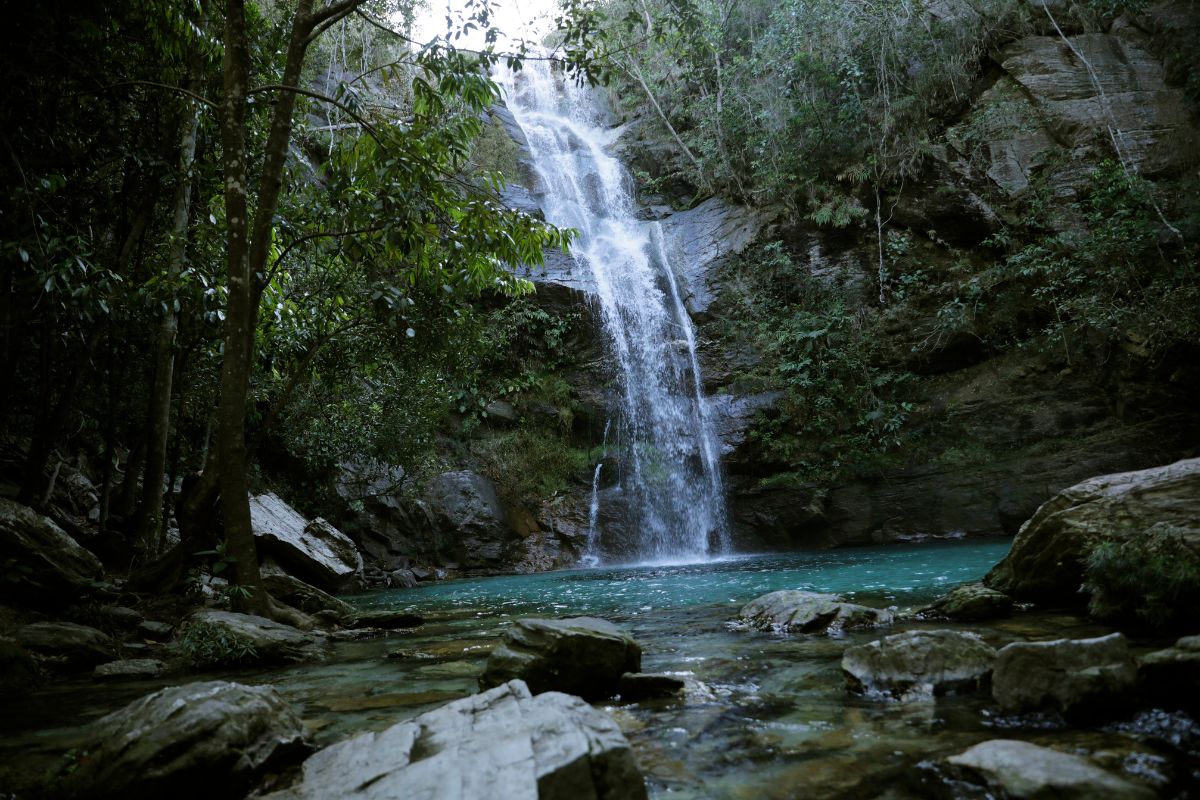 Novo plano nacional mira proteger 80% da Amazônia