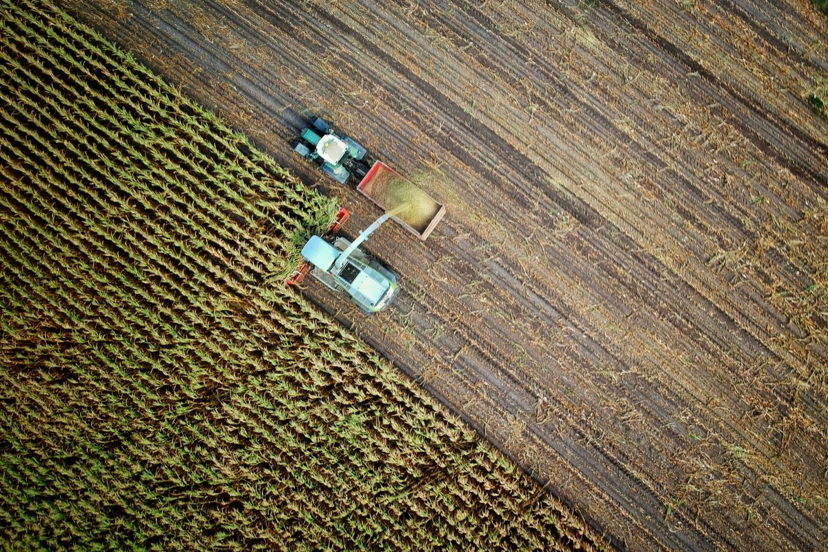 Plano Quinquenal da China pode trazer prejuízo ao agronegócio brasileiro
