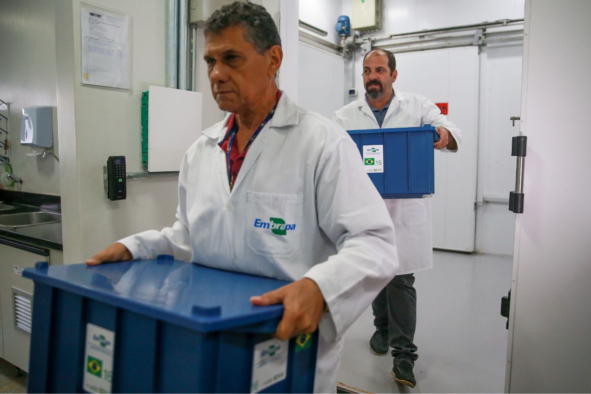 Embrapa passa a ser isenta de taxas com lei sancionada