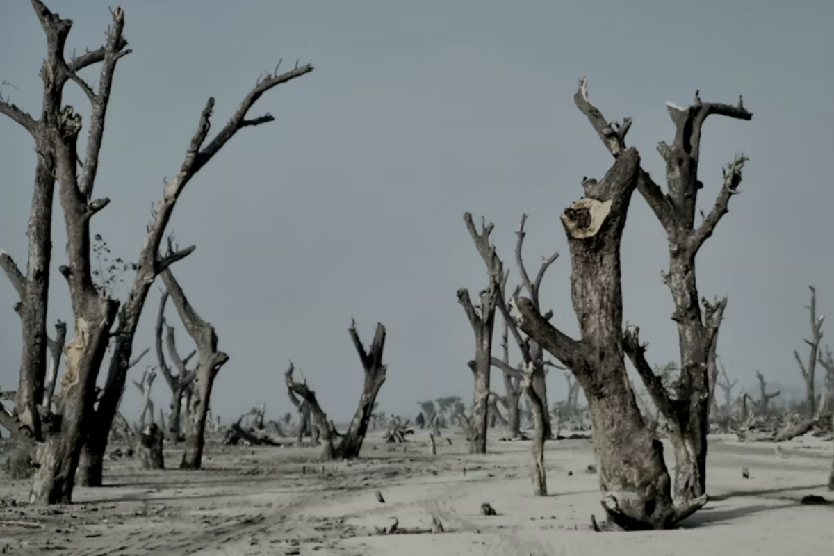 Energia, petróleo e meio ambiente no tabuleiro global: 10 filmes e séries sobre disputas ambientais