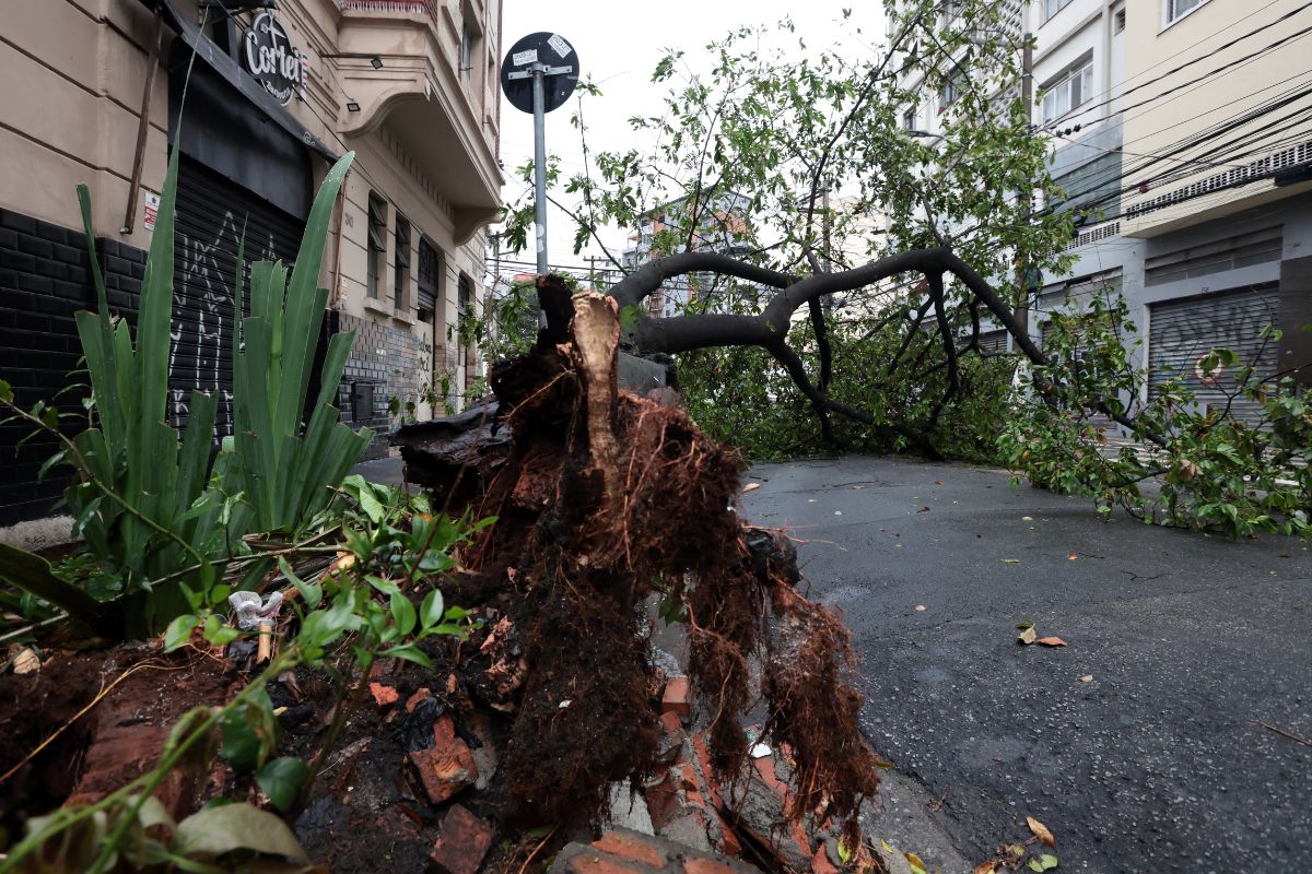 Conheça o plano do Brasil para adaptar o SUS às mudanças climáticas