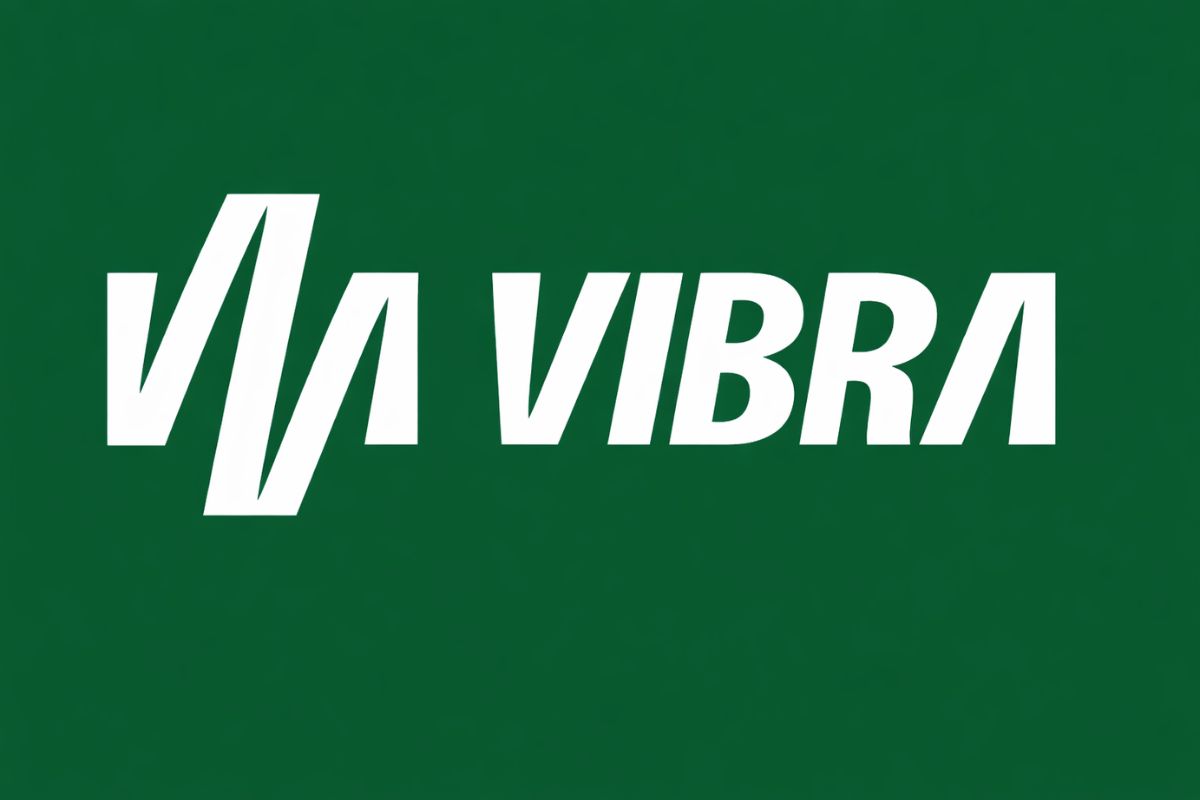 Sob investigação do Cade, Vibra ajusta portfólio e deixa projeto de usina solar flutuante em SP