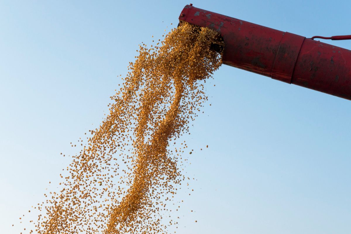 Agronegócio representou quase 50% das exportações brasileiras em abril