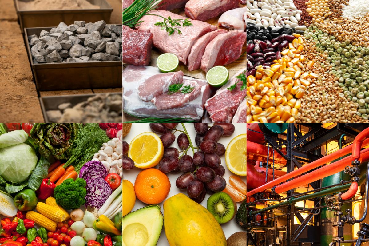 Veja quais produtos escaparam da tarifa de 25% dos EUA