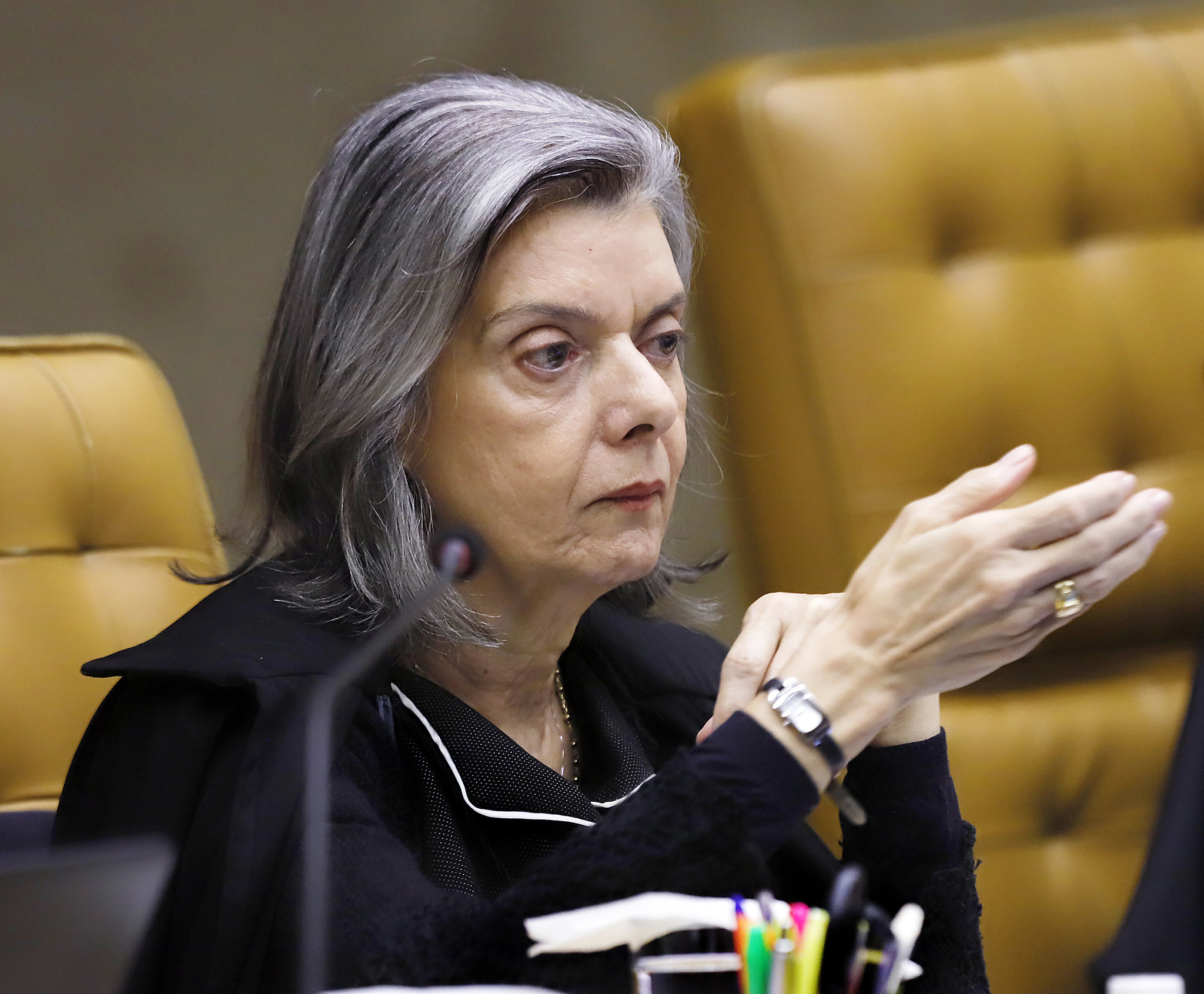 STF anula lei que obrigava divulgação de canais para denunciar maus-tratos a animais