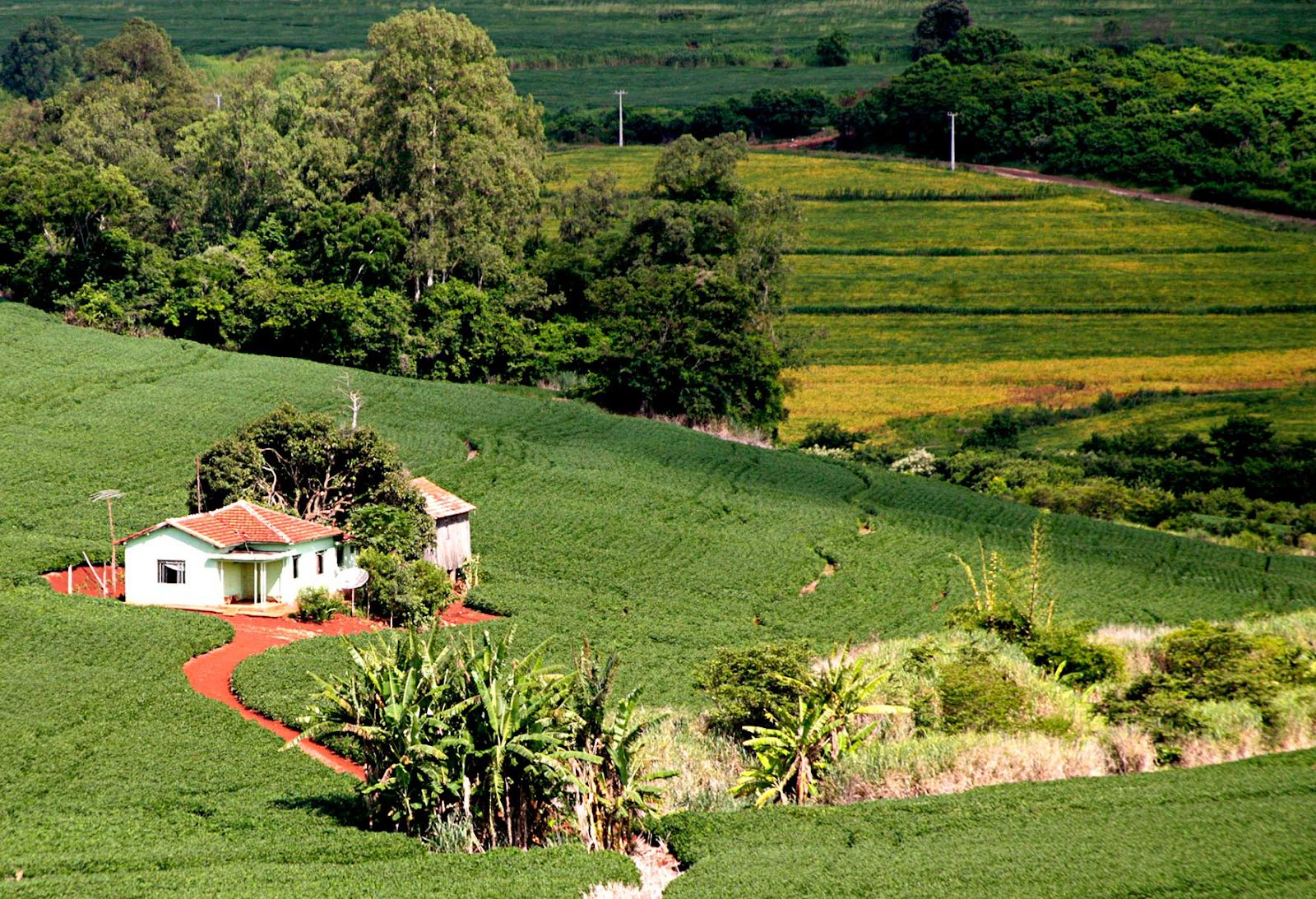 STJ: Perfil de homem do campo garante preferência para comprar imóvel rural arrendado
