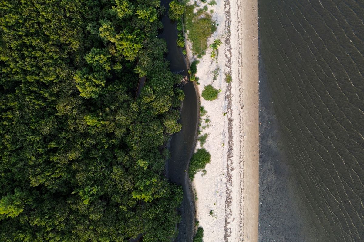 Painel inédito expõe gastos ambientais do Brasil; veja o que ele mostra